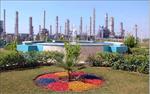 Petchem Industry Creates Valuable Green Spaces