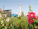 Iran Petchem Industry: 55% Green Space