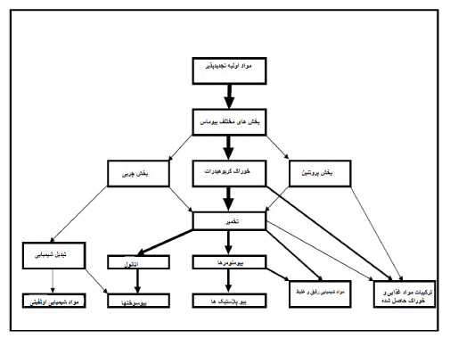 پروسه بیوپالایشگاهی
