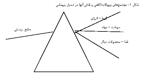 مجتمع‌های بیوپالایشگاهی