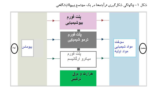 شکل‌گیری فرآیندها