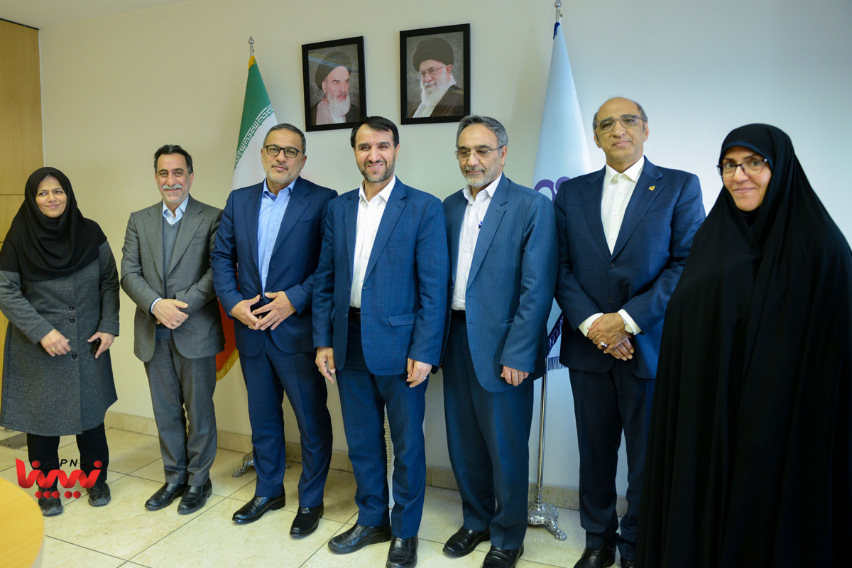 شاهمیرزایی